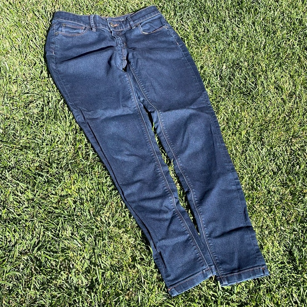 The Limited Denim High Waist Skinny 4